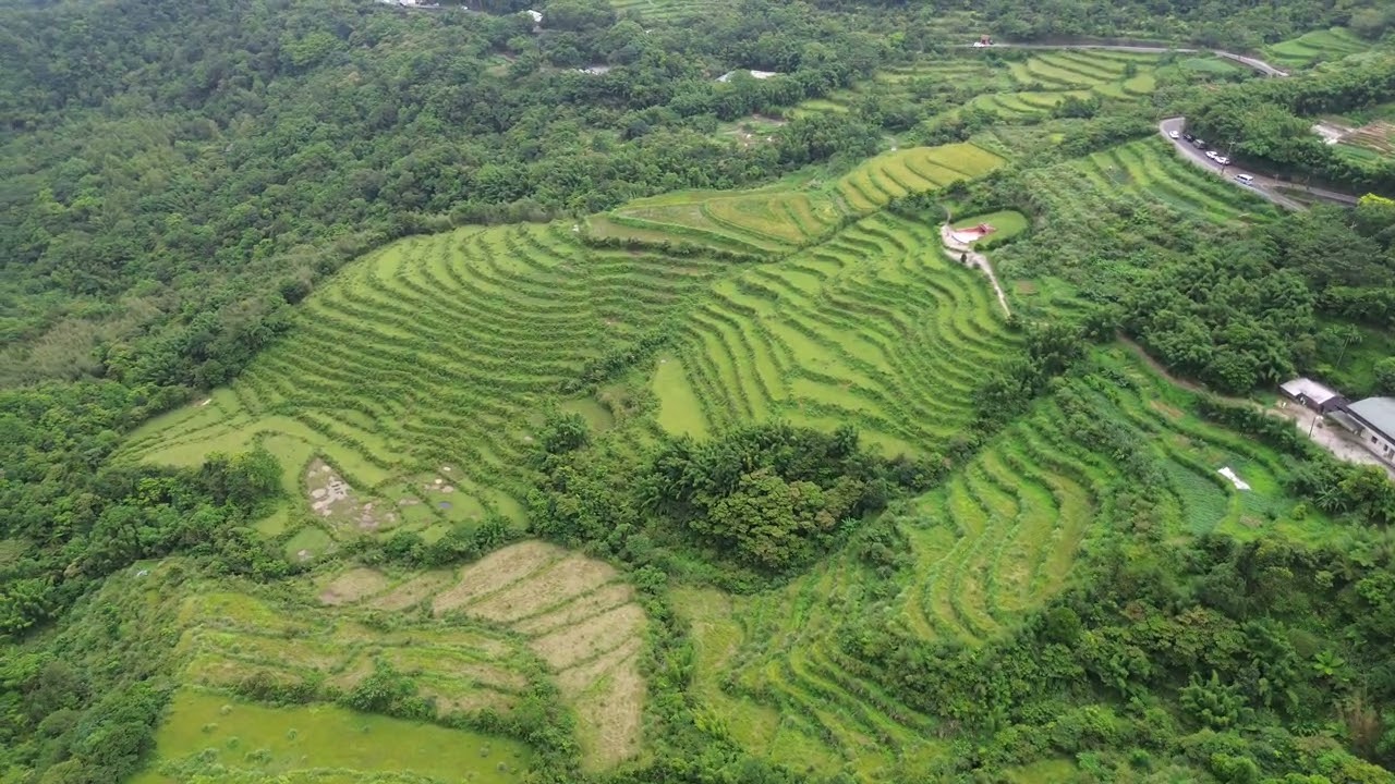 0726內寮溪水梯田