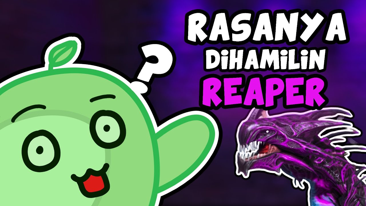 Dihamilin Reaper QnA
