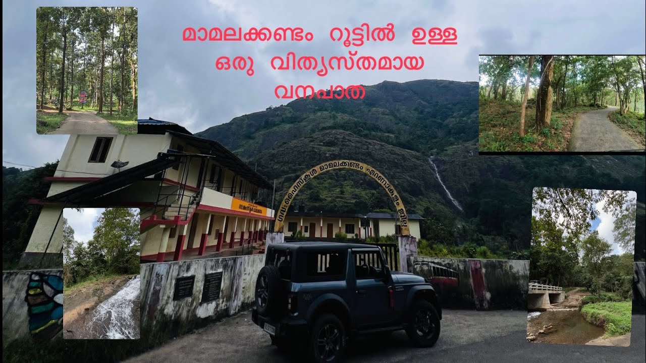 മാമലക്കണ്ടം റൂട്ടിൽ ഉള്ള ഒരു വിത്യസ്തമായ  വനപാത |Mamalakandam | #roadtrip