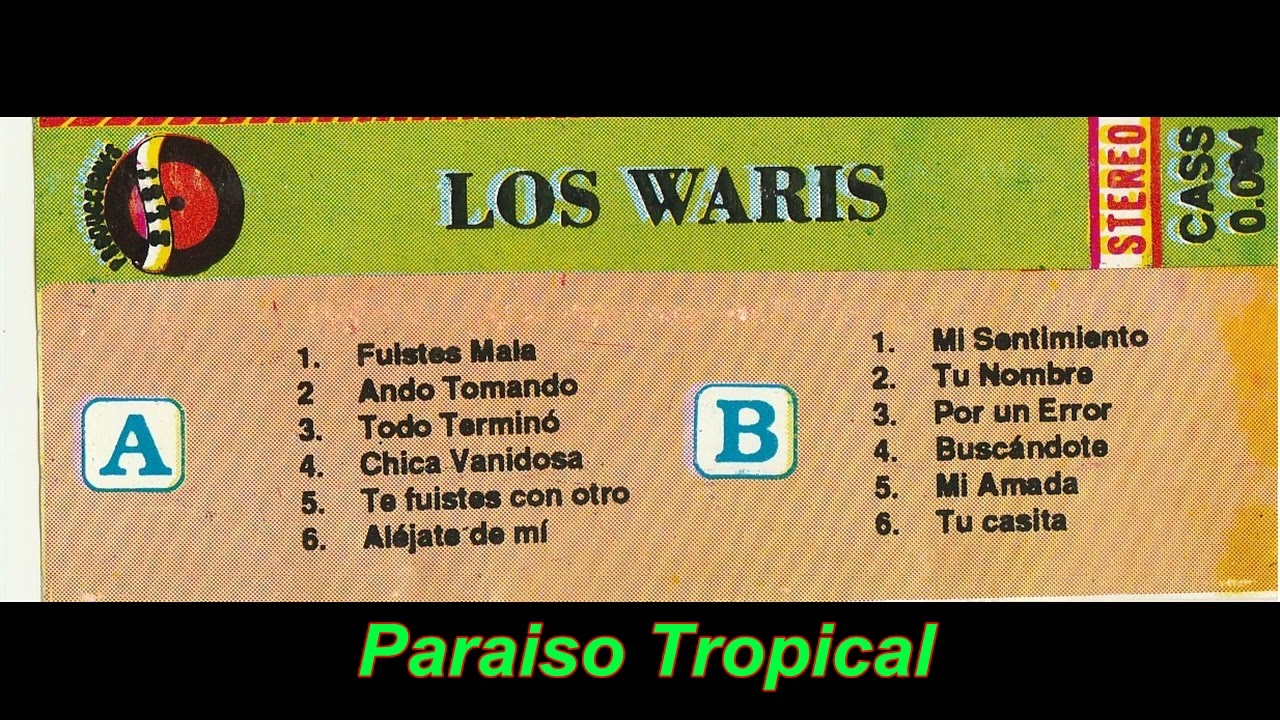 LOS WARIS DE PALCA -  TE FUISTE CON OTRO