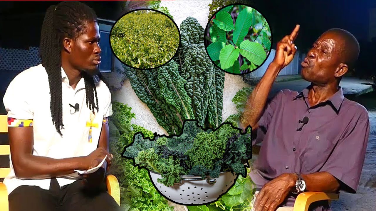 Ulcer aduro - Ahaban Tumi [Efie Nsem Tv]