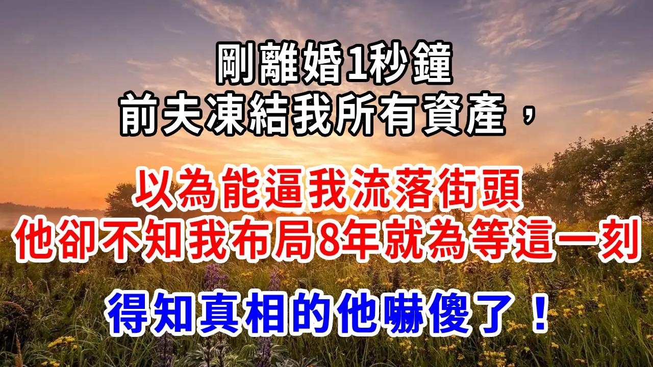 剛離婚1秒鐘，前夫凍結我所有資產，以為能逼我流落街頭，他卻不知我布局8年就為等這一刻，得知真相的他嚇傻了！