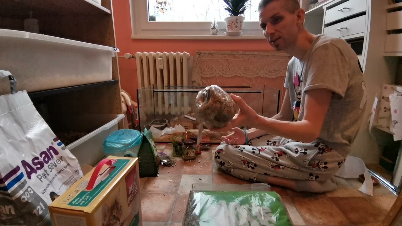 Čistím křečky a propaguji Little One - plus sleva na nákup ve Fajn ZOO