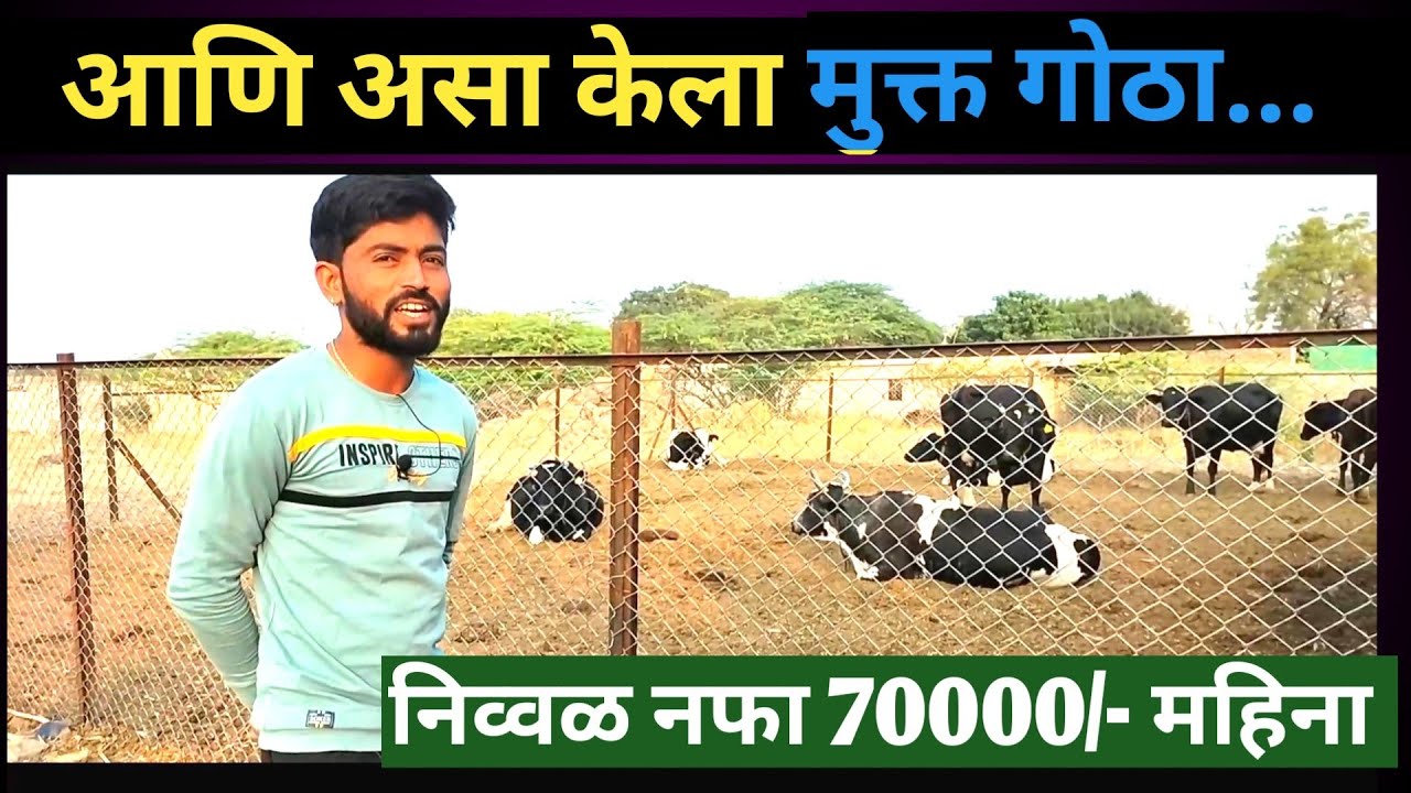 आणि असा केला मुक्त गोठा # निव्वळ नफा महिना 70 हजार# DINESH LANGUTE VLOG  03