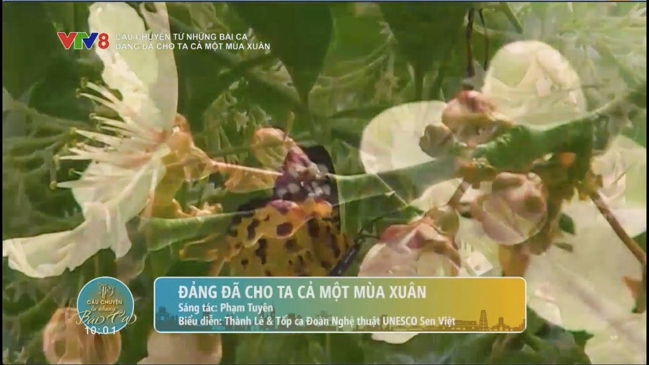 Ca khúc: 