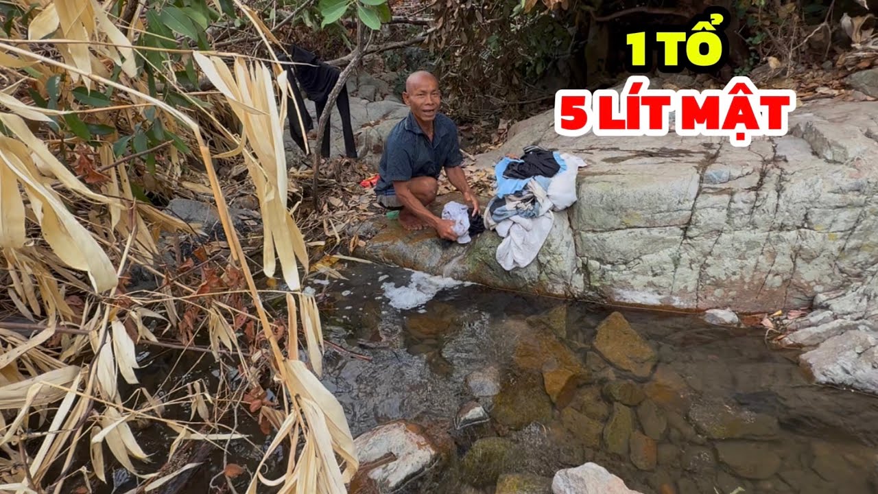 Trời ơi, kỉ luật luôn 1 tổ ong dài hơn 1 mét thu về năm lít mật