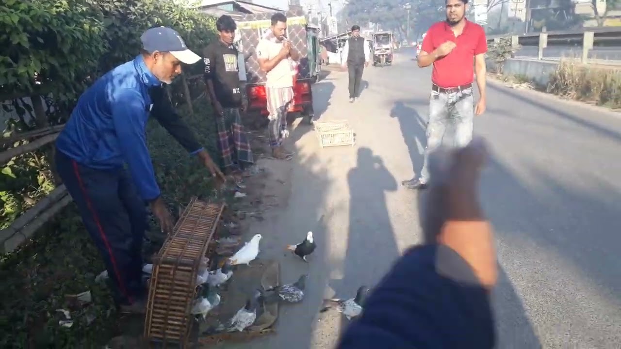 31 kilomiter seasonal intek 15kobotor sobie dowa korben jeno back kore 