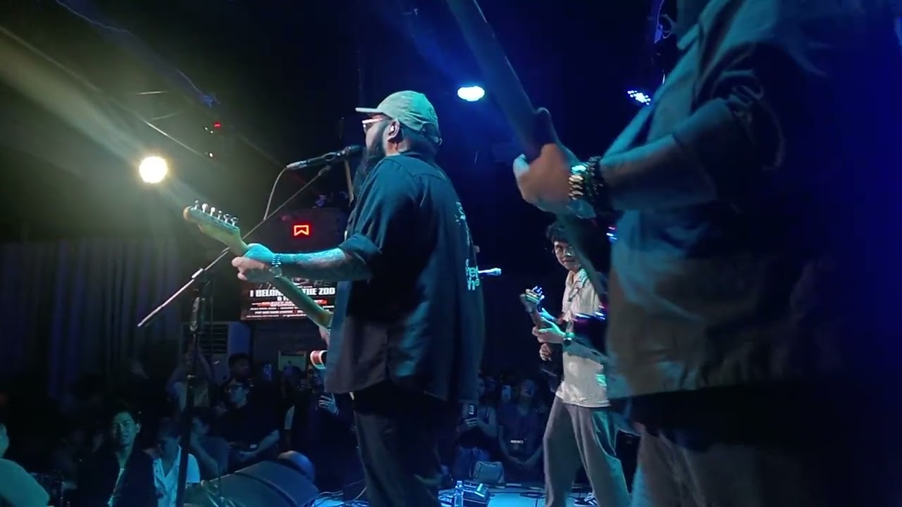 I belong to the zoo - Balang Araw Live: 12 Monkey's