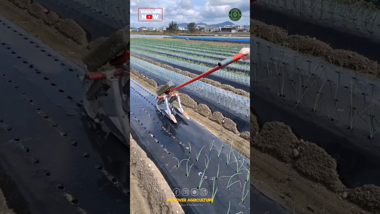 Mulch Hole Punching Tool