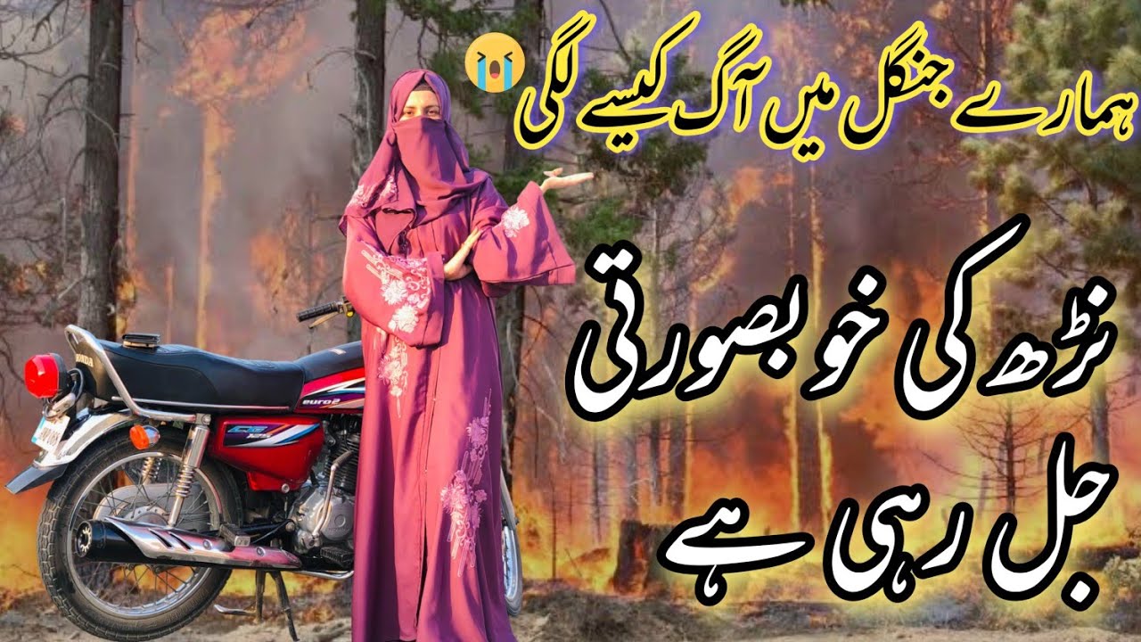 First Vlog in Pothwari😜