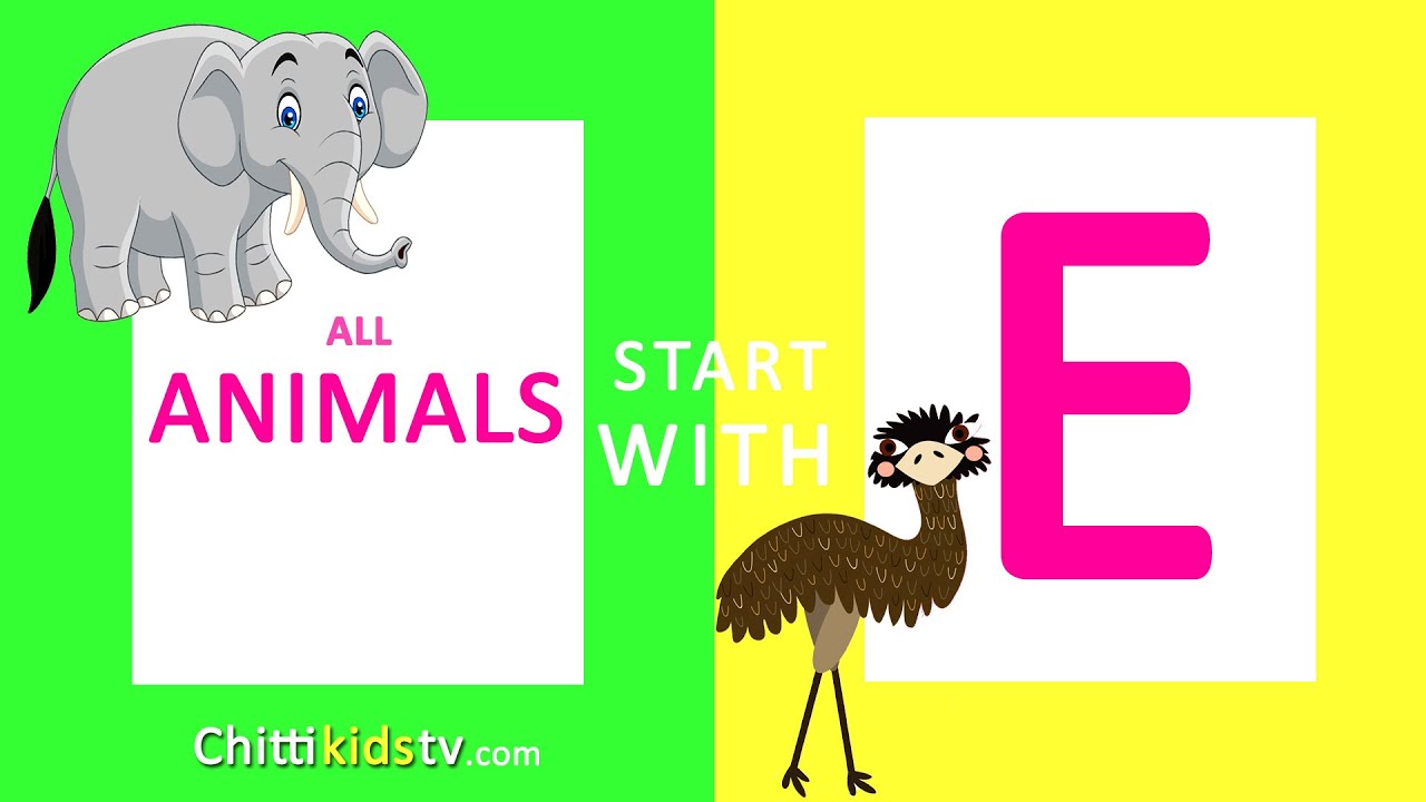 E letter animal names for kids (2019)