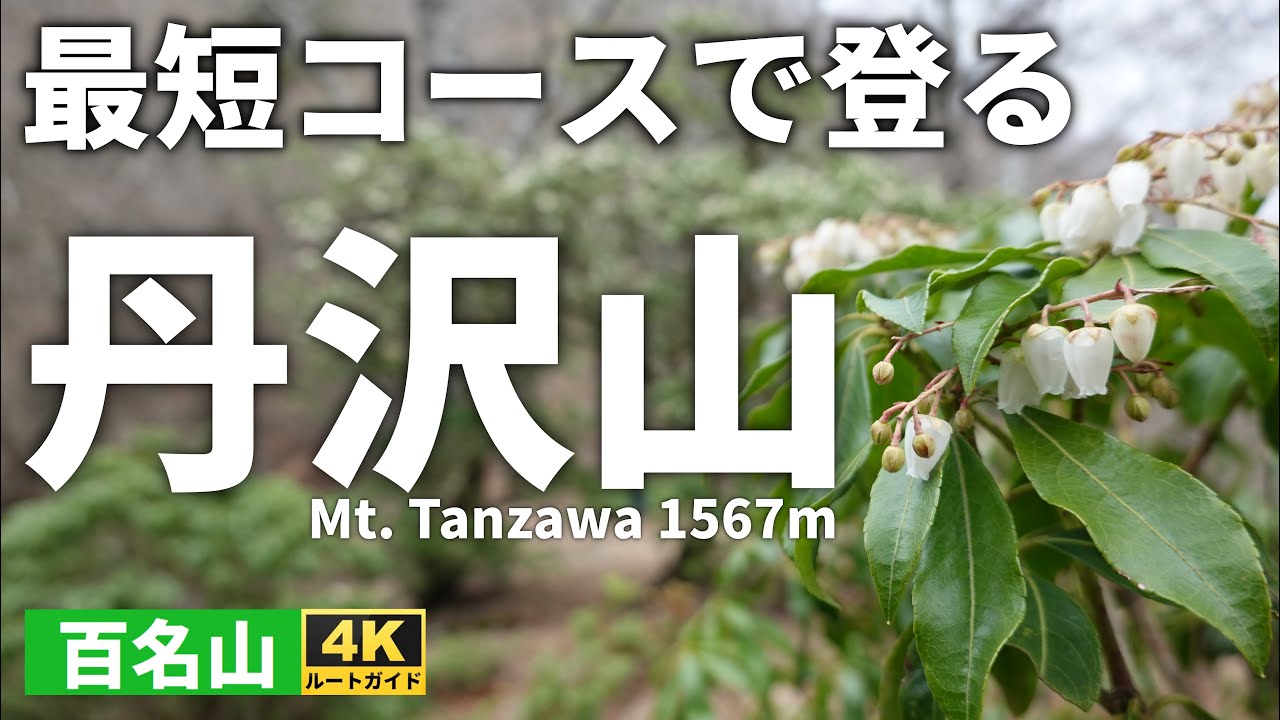 【ルート解説】最短コースで登る丹沢山（塩水橋～天王寺尾根～塩水林道周回） How to climb Mt. Tanzawa in the shortest course