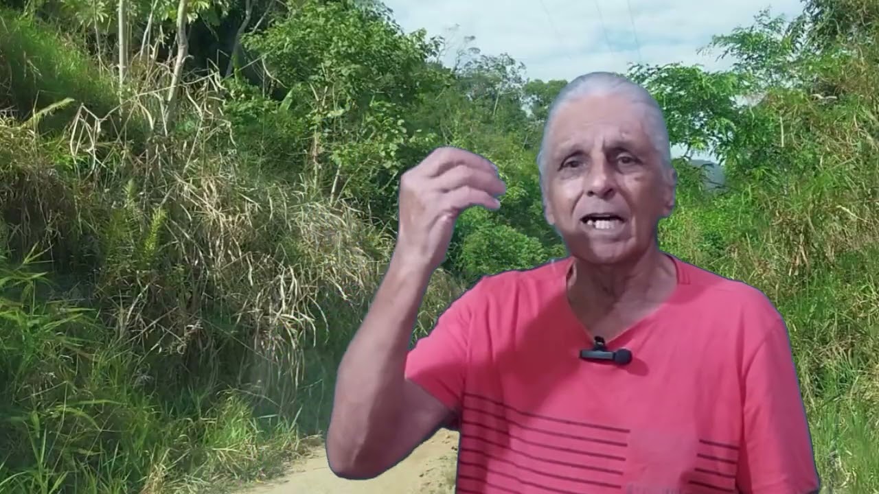 Aprendizado real para que quer ir para o campo ou mora lá