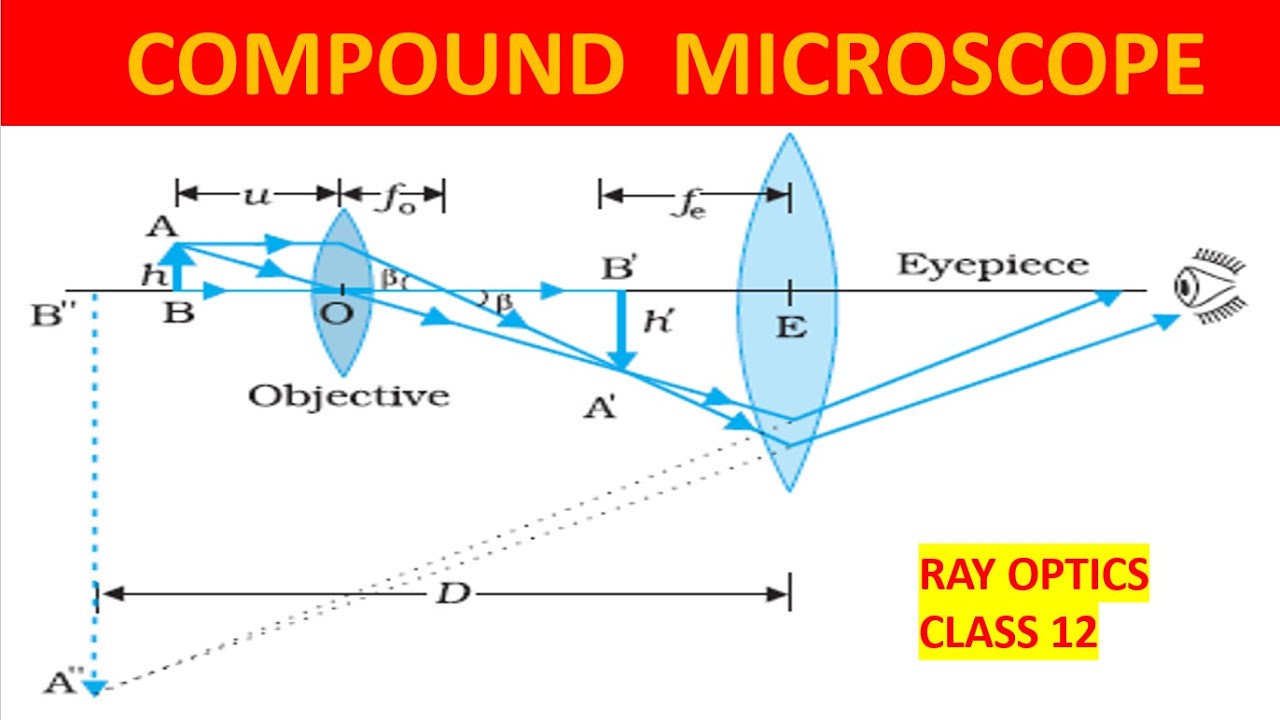Ray Optics: Compound microscope