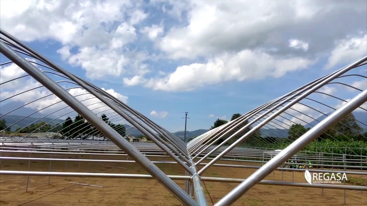 Invernaderos | Greenhouse