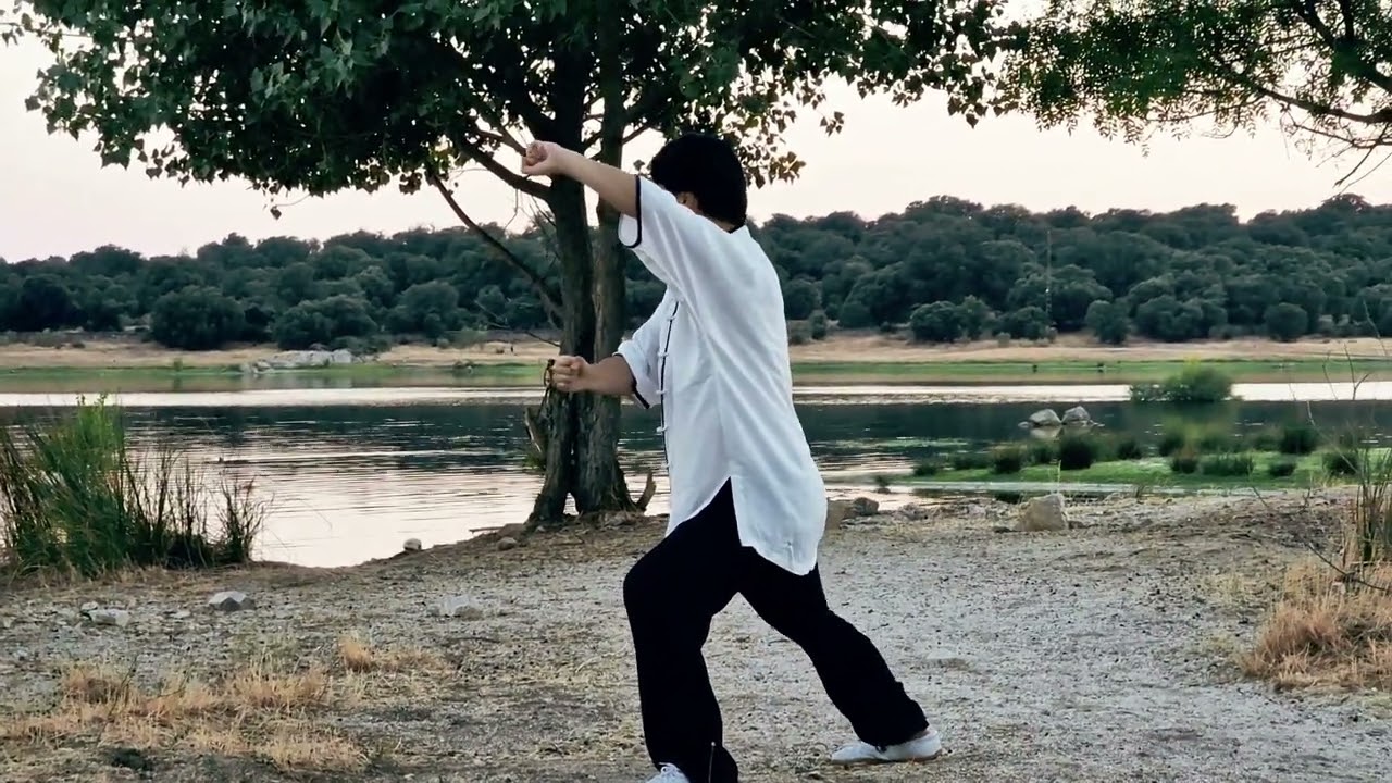 Chikung dinámico, fang song, Que Sistema elegir para conseguir fluir? Chikungtaichi Xioda Liu.