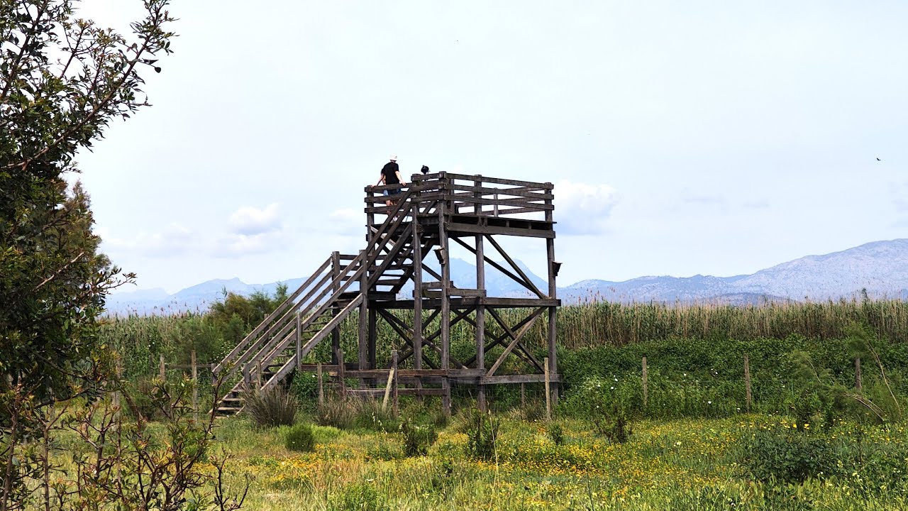 Wandern auf Mallorca - Durch das Natur- und Vogelparadies de s'Albufera(2023, 4k)