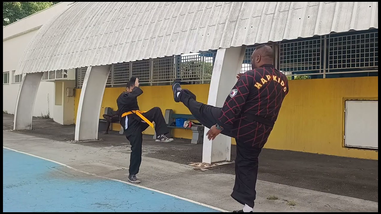 Hapkido - Iniciando com o Ssang Bongo e Kibon DongJa