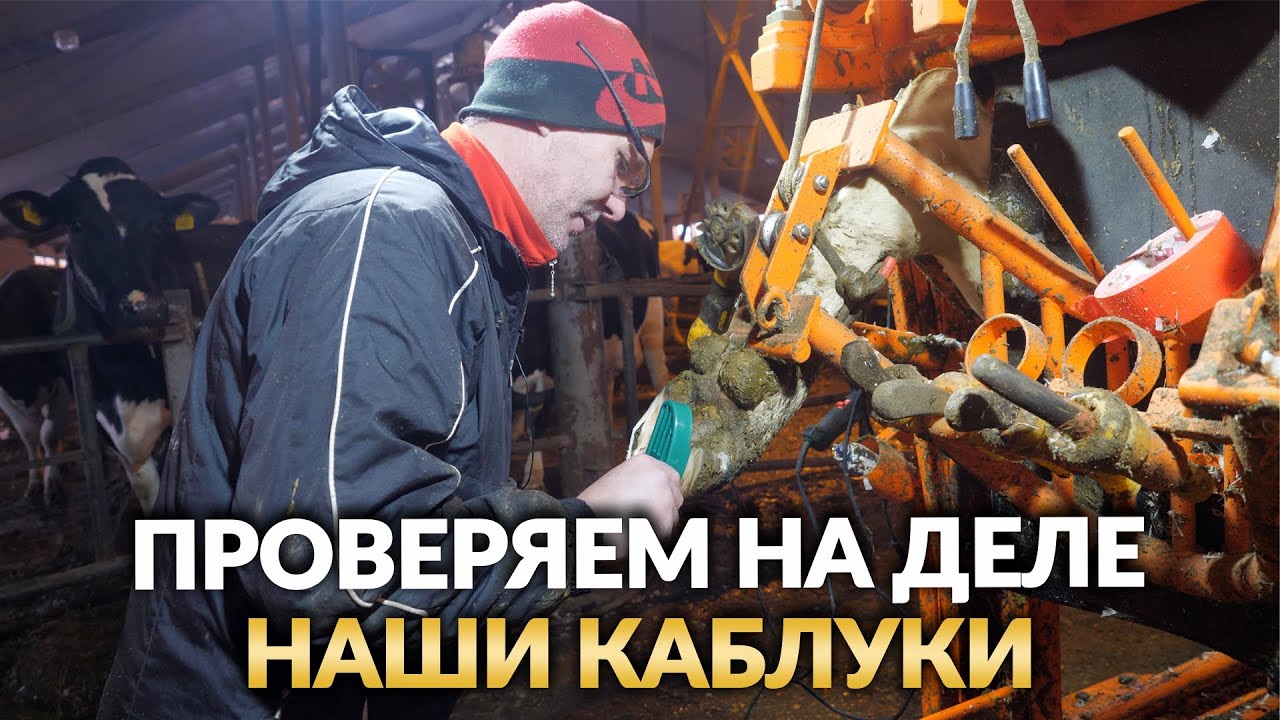 Постановка каблука на копыто от мастера 