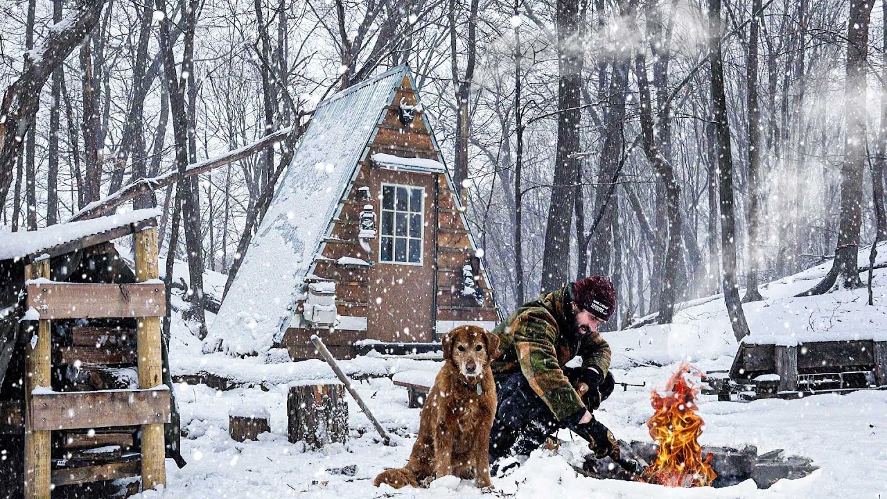 ПЕРЕЖИВАЮ ЗИМНЮЮ МЕТЕЛЬ в домике с собакой!