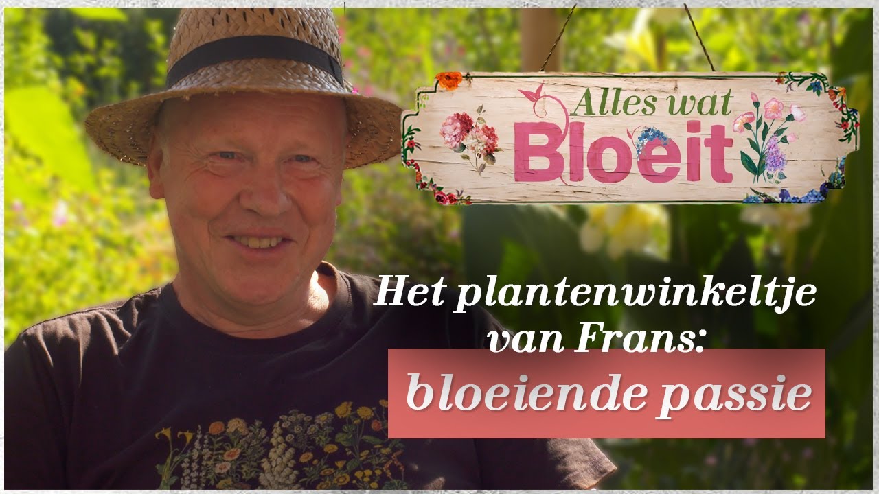 Het plantenwinkeltje van Frans | Alles Wat Bloeit