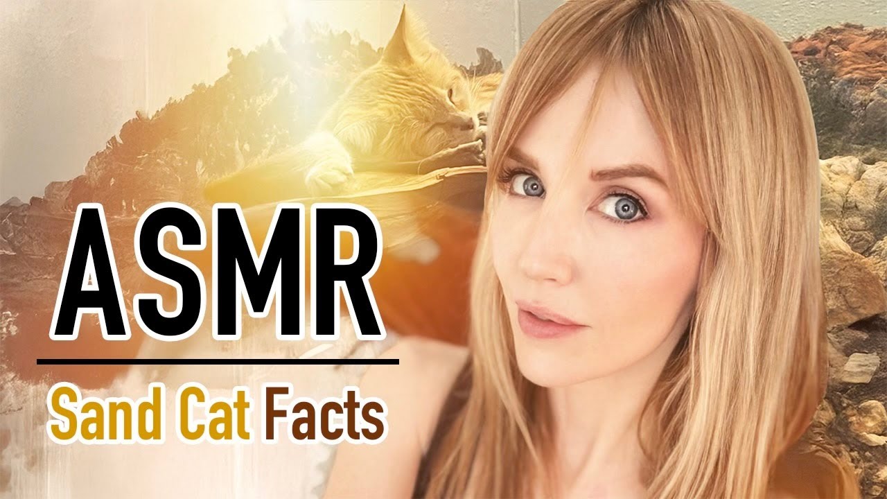 ASMR Sand Cat Facts