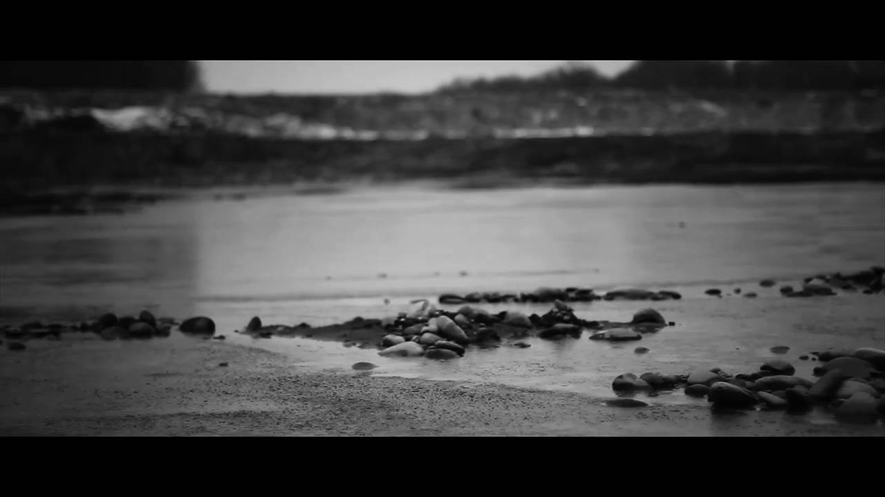 Violet Cold - Last Day On Earth