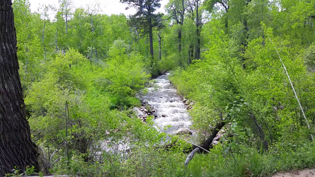 Piney Creek near Storey, Wyoming - May 31, 2017 - Travels With Phil - Unedited
