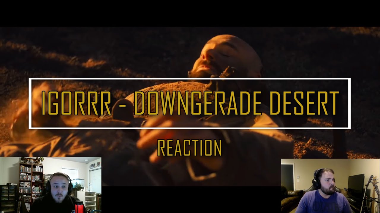 What in the 7 Genre's was that! I Igorrr I  DownGrade Desert I Reaction