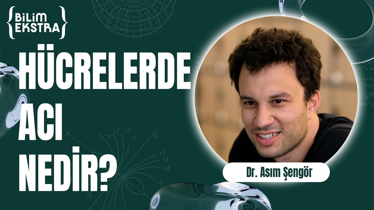 Hücrelerde acı nedir? / Dr. Asım Şengör ile Bilim Ekstra