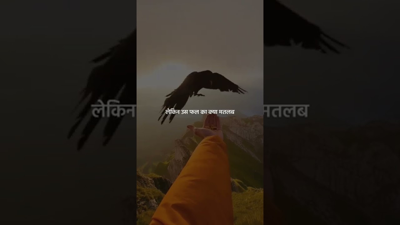 सब्र का फल 😊 | Motivational JPEG #shorts