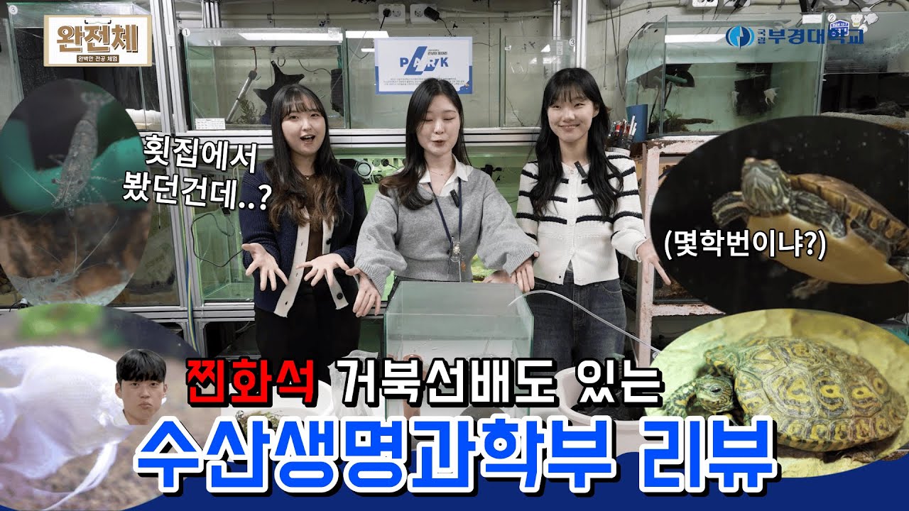 [완·전·체] 찐화석 거북선배🐢? 수산생명과학부!🐳 | 국립부경대학교 | 전공홍보단 | GYRO