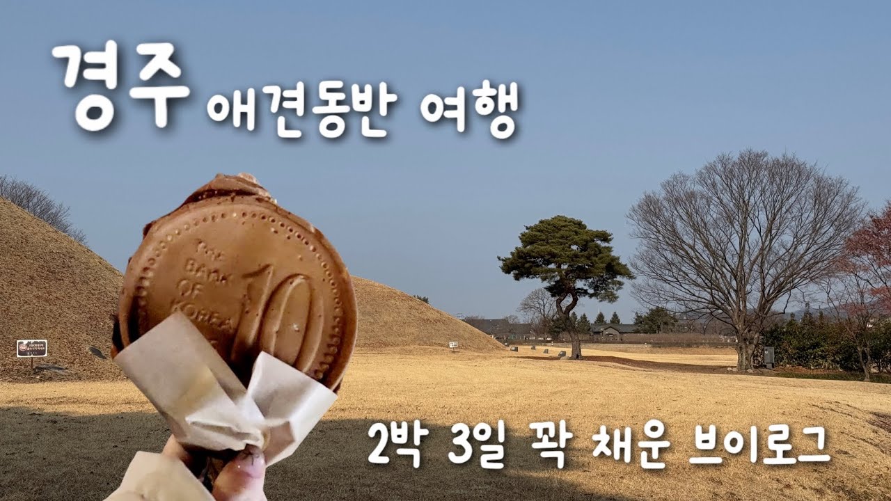 강아지랑 2박 3일 경주여행🚙🐶ㅣ키녹호텔ㅣ경주 애견동반 카페ㅣ황리단길ㅣ읍천항