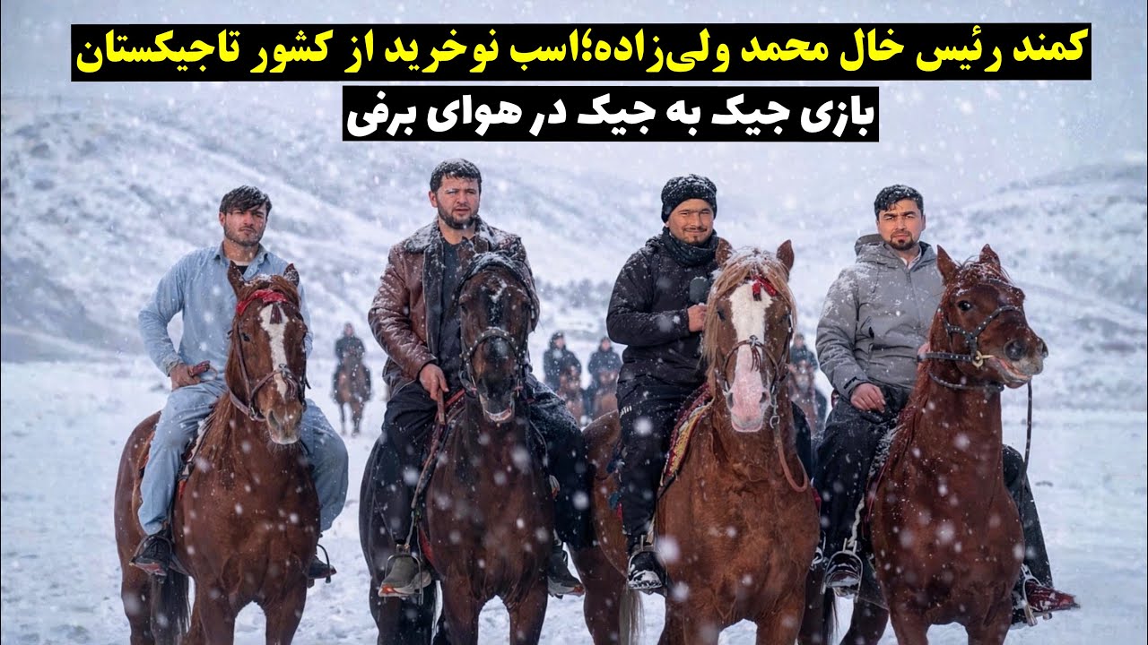 |کمند اسب های رئیس خال محمد ولی‌زاده؛ اسب نو خریداز کشور تاجیکستان|@OmarKhanKhatab 