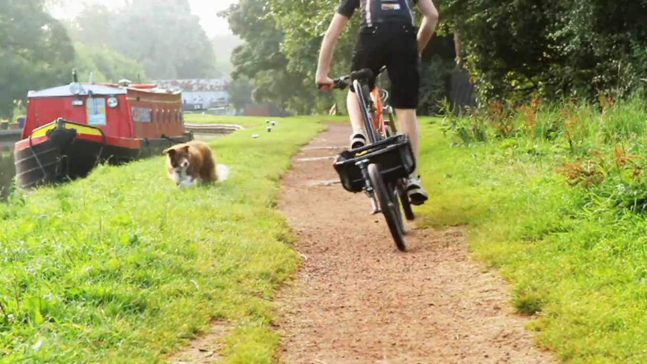 tout terrain Mule en France