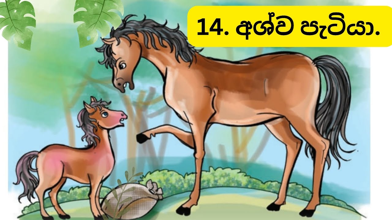 14. අශ්ව පැටියා. 3 ශ්‍රේණිය , #education #grade3 #sinhala #මව්බස 