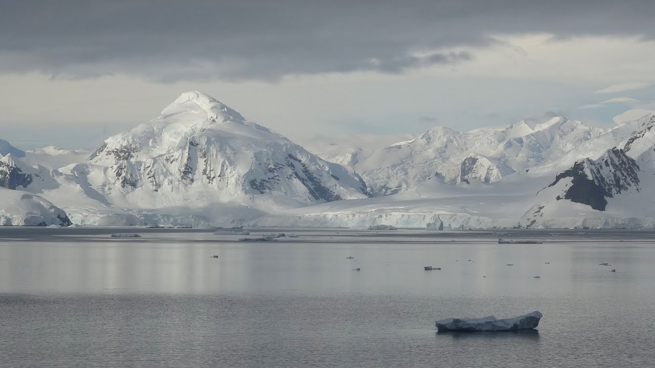 SOUTH AMERICA CRUISE to ANTARCTICA - Video Highlights