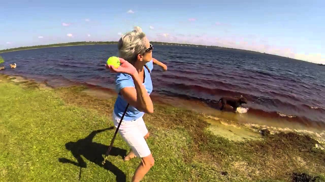 Gulf State Park: Paws in the Park