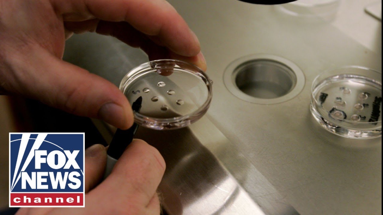 Designer babies? The pros and cons of embryo screening during IVF