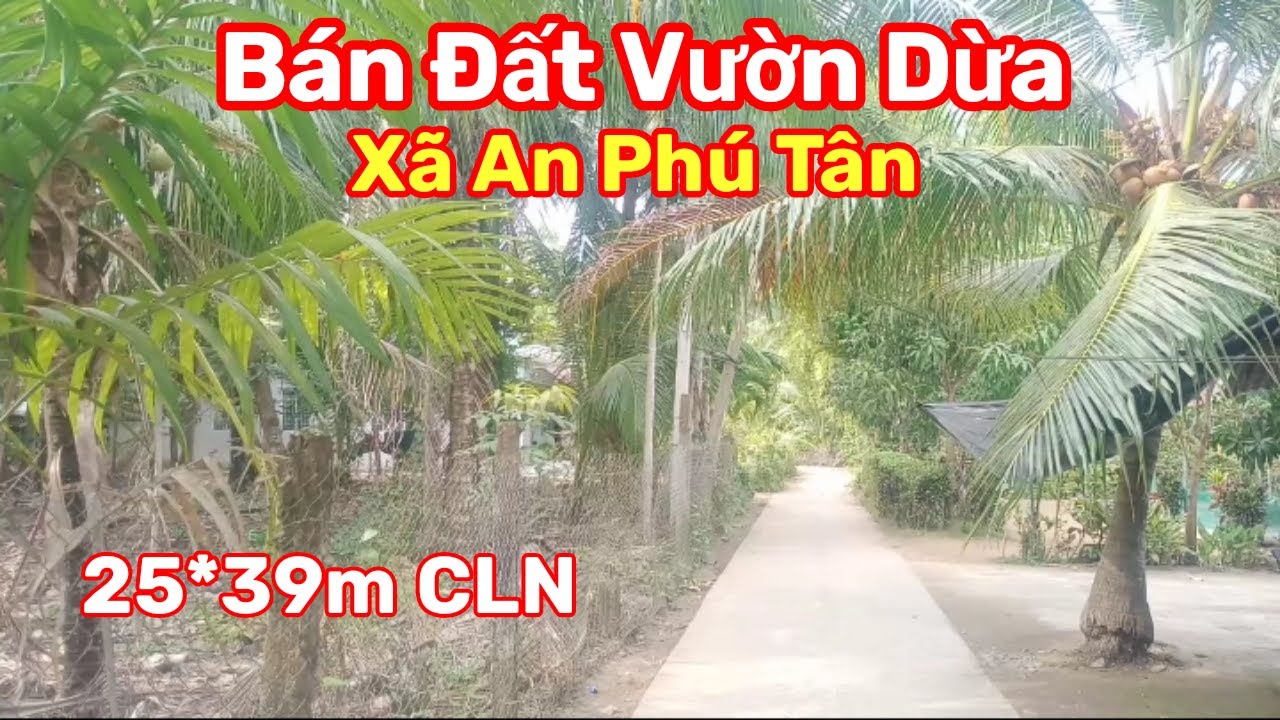 Thành Hiếu Nhà Đất Cầu Kè, Vĩnh Long. Bán Đất Vườn Dừa DT 1062m2 CLN. Giá 1 tỷ thương lượng.