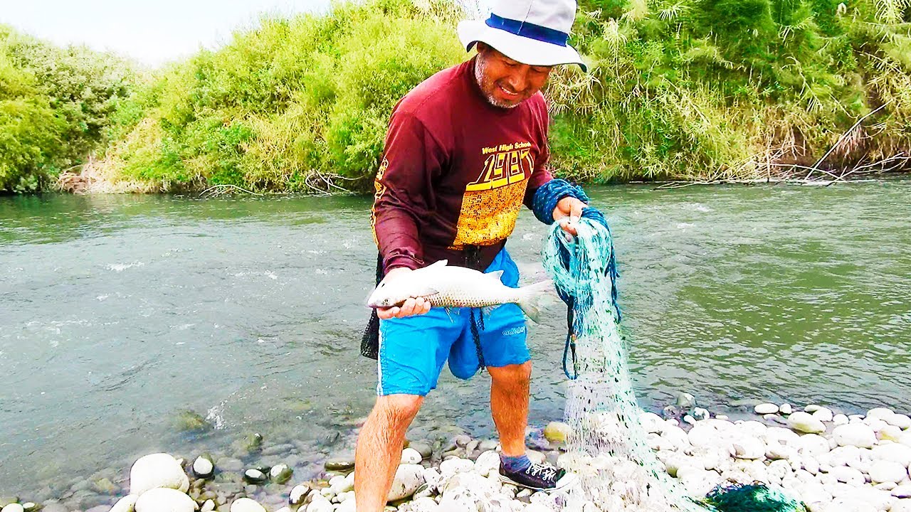 Mira esta Secuencia ELECTRIZANTE de las MEJORES Pescas con ATARRAYA Grabadas en Cámara
