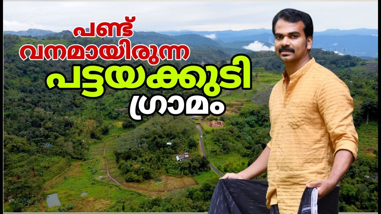 pattayakudi venmani village the hidden untouched village of idukki |വനമായിരുന്ന പട്ടയക്കുടി ഗ്രാമം