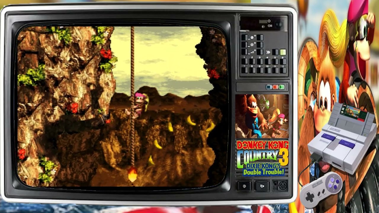 Donkey Kong Country 3 [#06]
