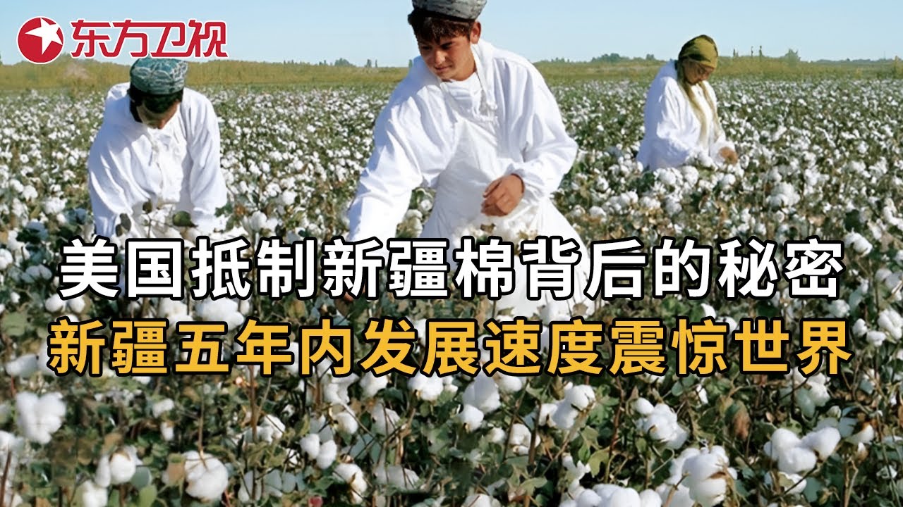新疆发展速度震惊世界! 美国抵制新疆棉背后有什么秘密阴谋？3年前被封锁的新疆棉如今怎么样了?  #叶尔羌河 第1集｜FULL