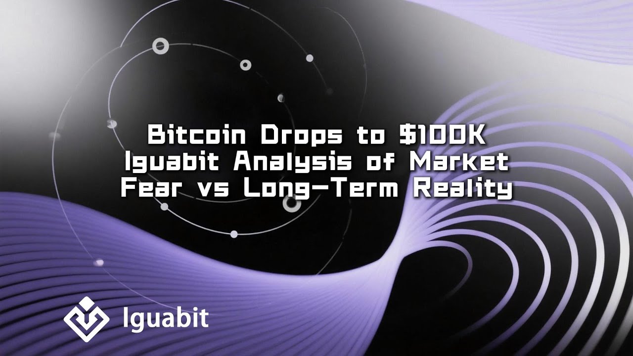 Bitcoin Drops to $100K: Iguabit Analysis of Market Fear vs Long-Term Reality