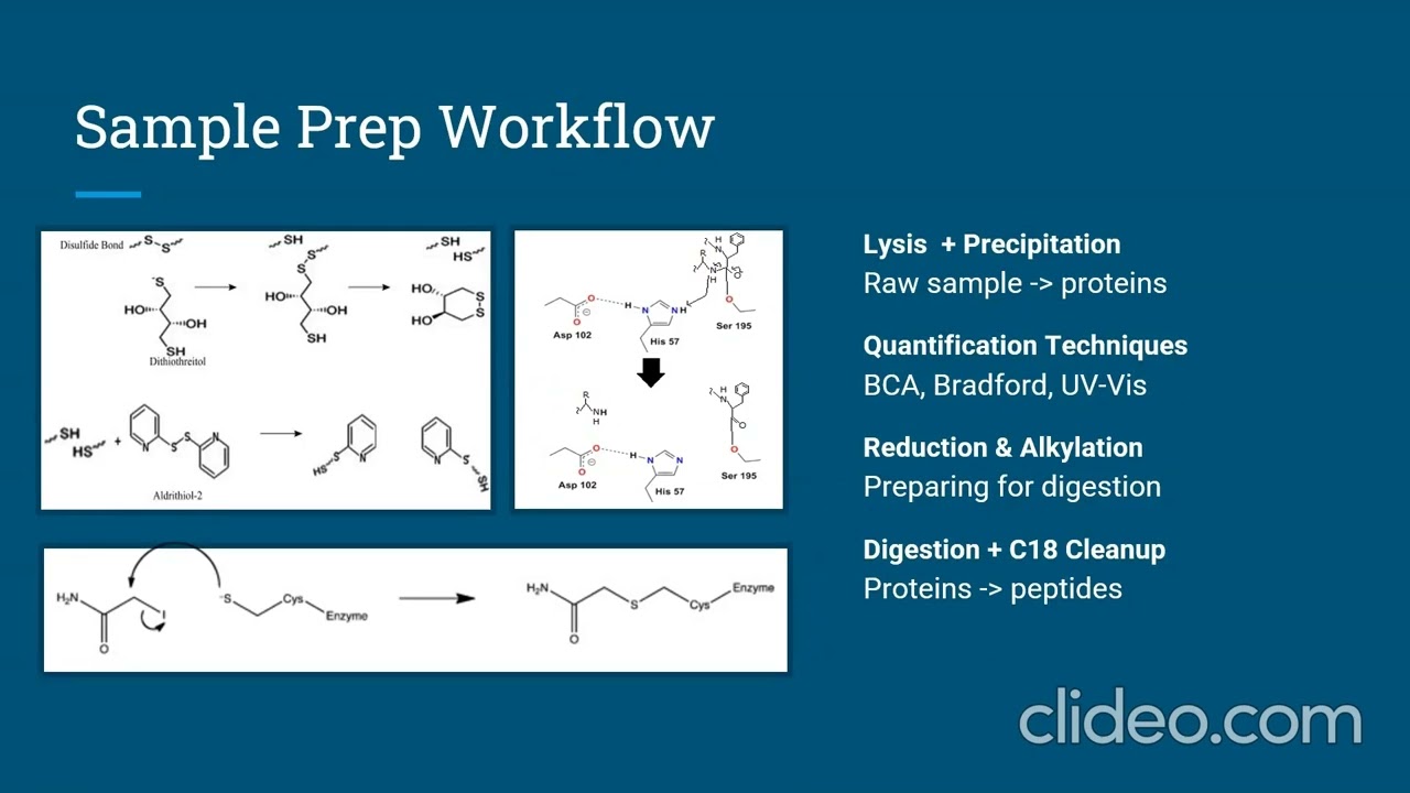 Your Sample and You - Metaproteomics at ARC-BIO: Dorathea Lee