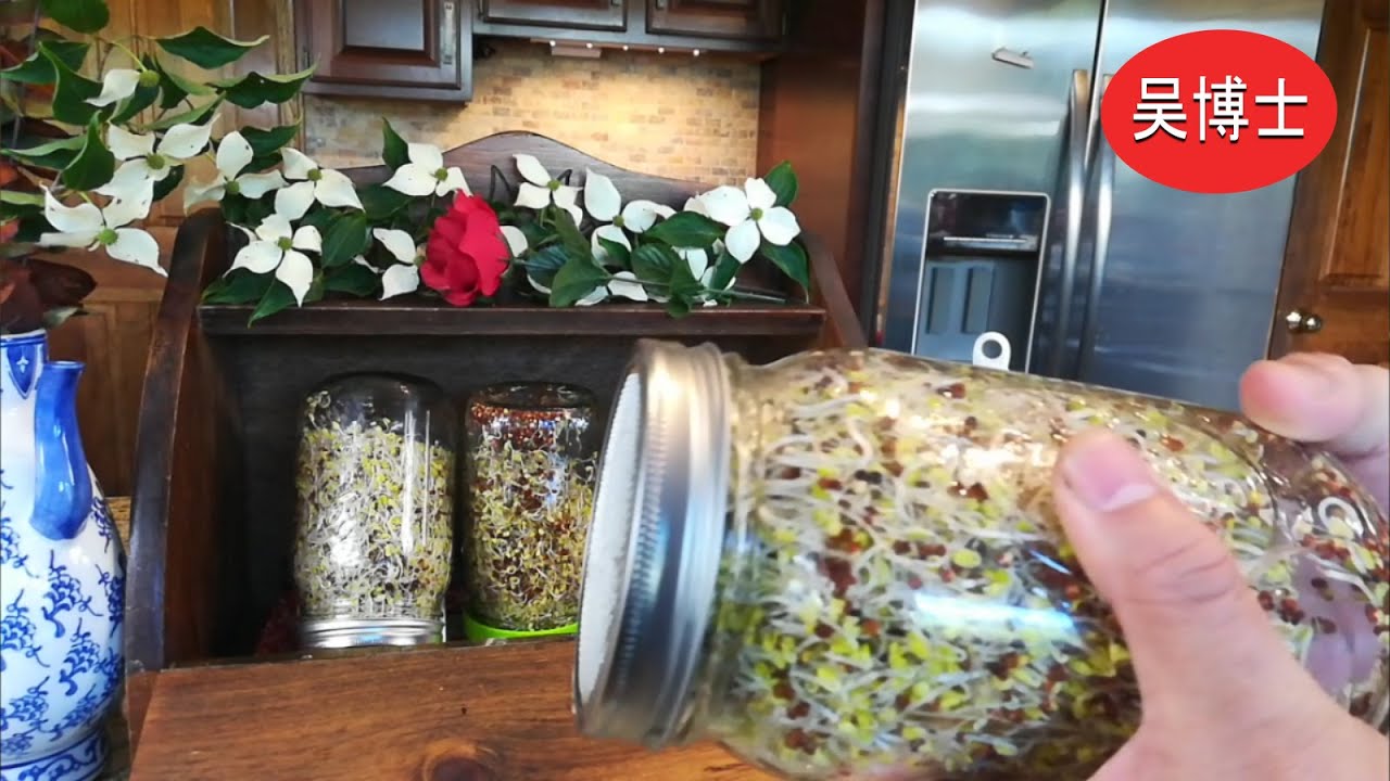 60. 我家怎么发抗癌解毒的西兰花芽苗? How do we grow broccoli sprouts for chemoprevention and detoxification?