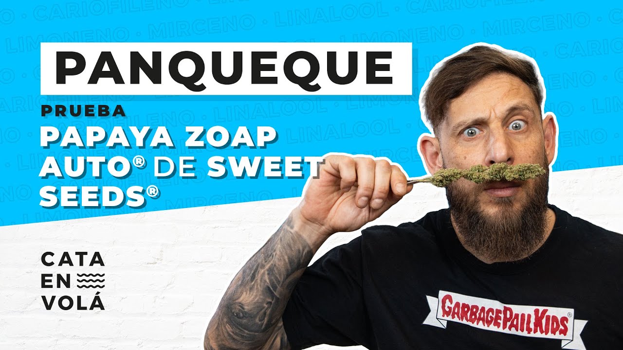 PANQUEQUE FUMANDO PAPAYA ZOAP AUTO&reg;
