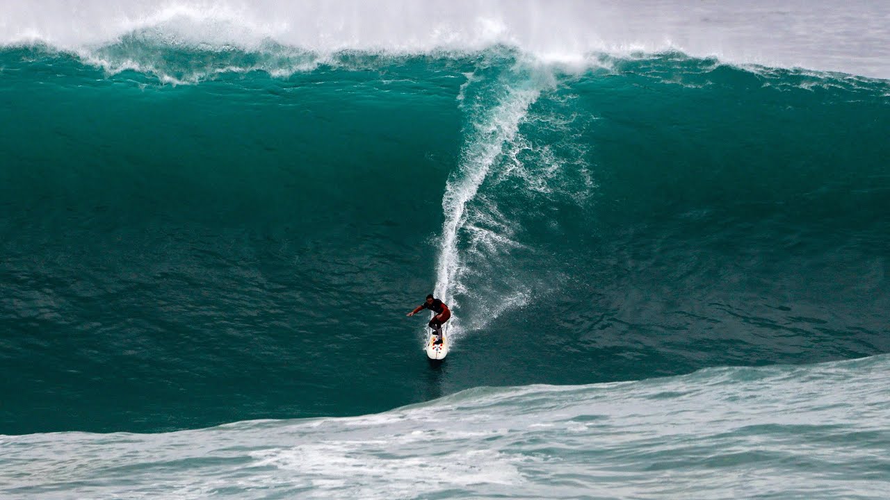 La Vaca Gigante 2023-24 - Official Video Highlights