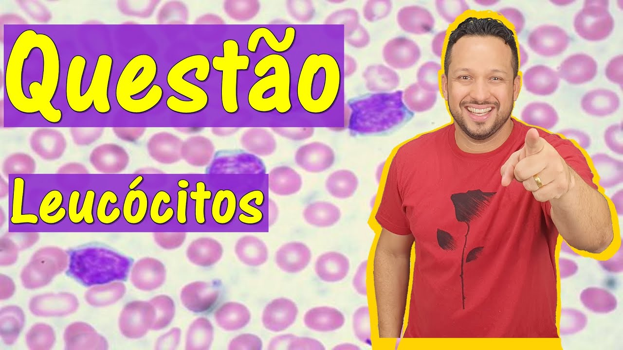 Leucócitos ou Glóbulos Brancos - Questão - Sangue - Tecido Sanguíneo - Histologia Animal